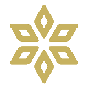 icon-Spores Network