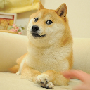 icon-Own The Doge