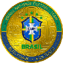 icon-Brazil National Football Team Fan Token