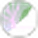icon-Cabbage
