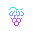 icon-Grape Network