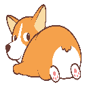 icon-CorgiCoin