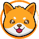 icon-Doge Floki Coin
