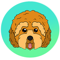 icon-Cockapoo