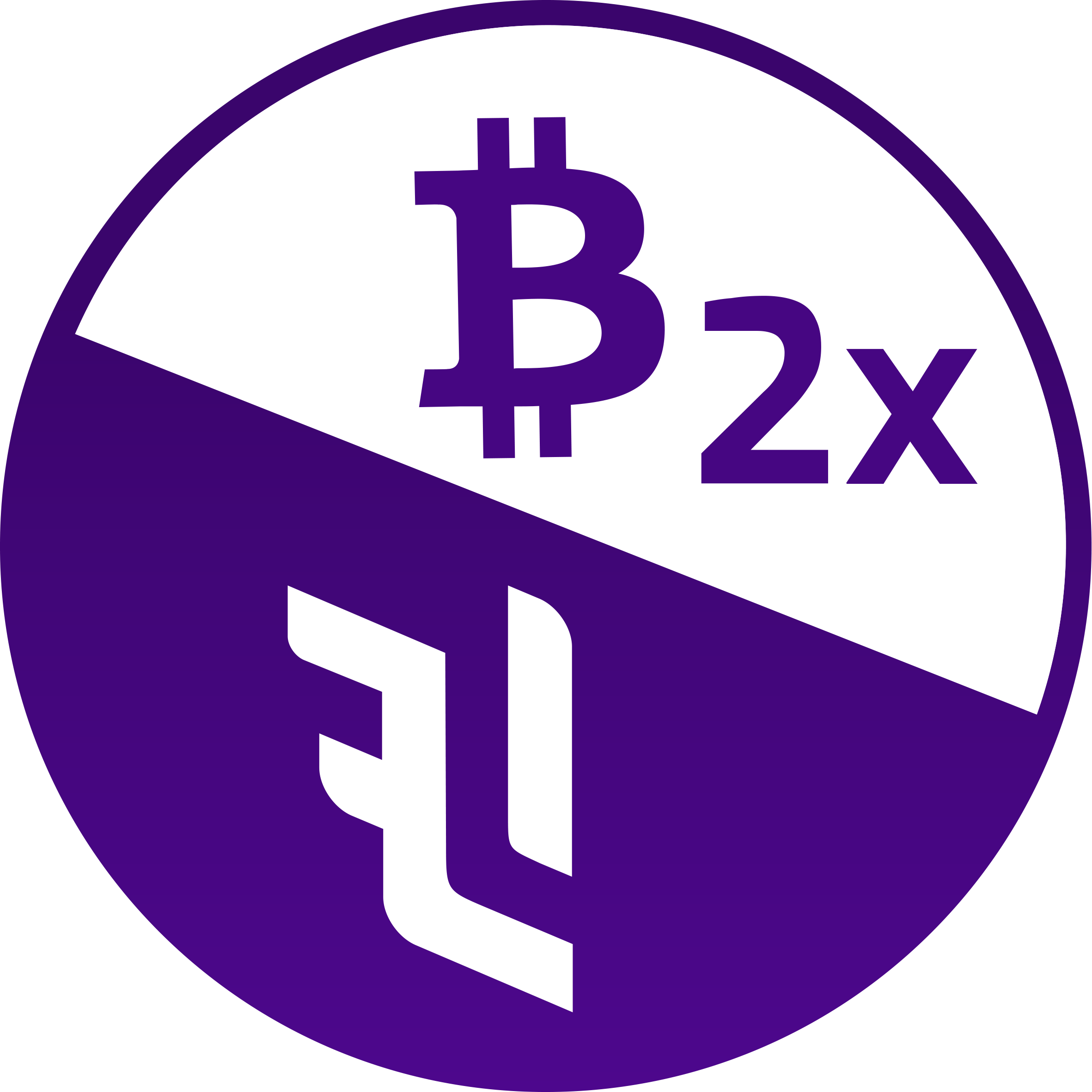 icon-BTC 2x Flexible Leverage Index