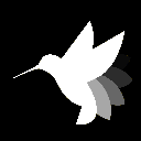 icon-Hummingbot Governance Token