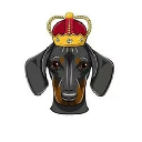 icon-DogeKing