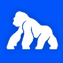 icon-ApeCoin