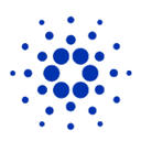 icon-Wrapped Cardano