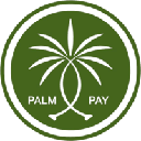 icon-PalmPay