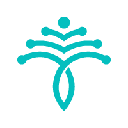 icon-Rejuve.AI