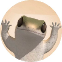 icon-Dancing Lizard Coin