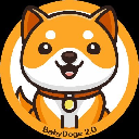 icon-Baby Doge 2.0