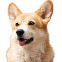 icon-BNB DOG INU