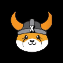 icon-FLOKI X