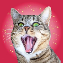 icon-CRAZY CAT