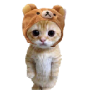 icon-CATWIFHAT