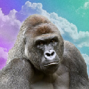 icon-Harambe on Solana