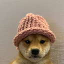 icon-dogwifhat (ETH)