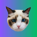icon-Taylor Swift's Cat BENJI