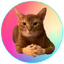 icon-Cat wif Hands