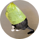 icon-catwifbag