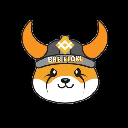 icon-BNB FLOKI