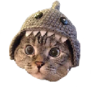 icon-Shark Cat