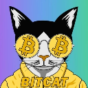 icon-Bitcat