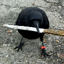 icon-crow with knife