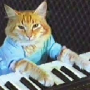icon-Keyboard Cat