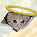 icon-CEILING CAT
