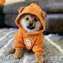 icon-Dog (Bitcoin)