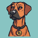 icon-Arky