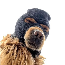 icon-Ski Mask Dog
