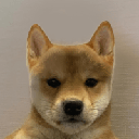 icon-DogWifNoHat