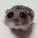 icon-SAD HAMSTER