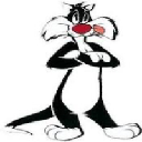 icon-CAT SYLVESTER