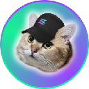 icon-CatSolHat