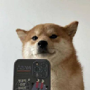 icon-SelfieDogCoin