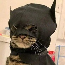 icon-batcat