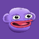 icon-Solly