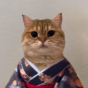 icon-Cat Own Kimono