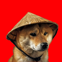 icon-Chinese Doge Wow