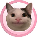 icon-Polite Cat