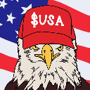 icon-American Coin