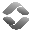 icon-Silver Token