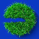 icon-Touch Grass