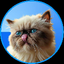 icon-Mr Miggles