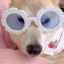 icon-Iro-Chan